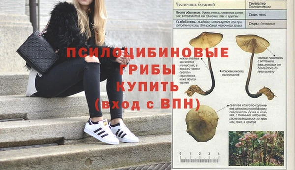 COCAINE Арсеньев