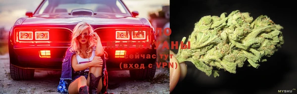 прущий лед Алзамай