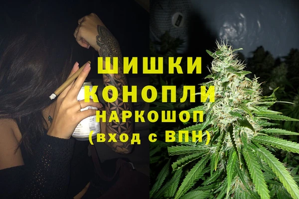 гидра Армянск